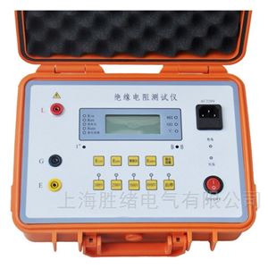 数字高压绝缘电阻表(兆欧表5000V)供应